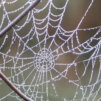Frequently asked: JavaScript Interview Questions and Answers