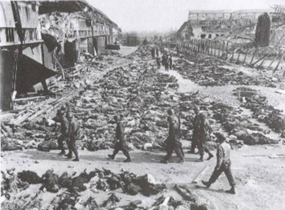 auschwitz eisenhower views scene - German Holocaust Revisionism