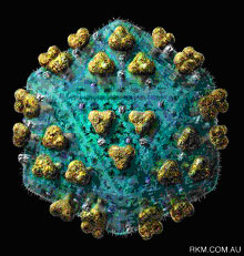 lentivirus rkm 11 - Infected by an Engineered Virus
