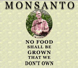 monsanto no food 20090311 9471 300x261 - Haitian Farmers Refuse Monsanto&#039;s GM Seeds &amp; Instead Plan on Burning Them