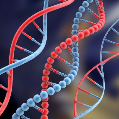 dna - The Human Genome and Intelligence - Just What is The Economist Hinting at?