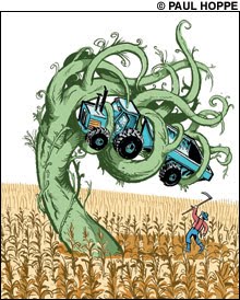 superweed - Monsanto Asks Competitors for Help Killing &quot;Superweeds&quot;