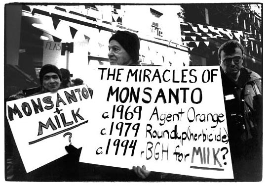 monsanto - Monsanto is the Real Food Terror Threat