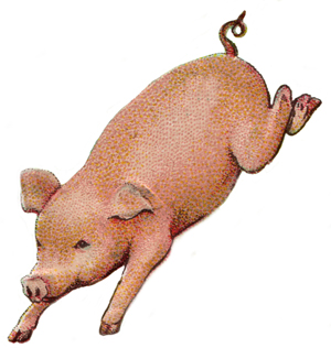 flying pig1 - Kansas GOP - Let’s Shoot Illegal Immigrants Like Pigs
