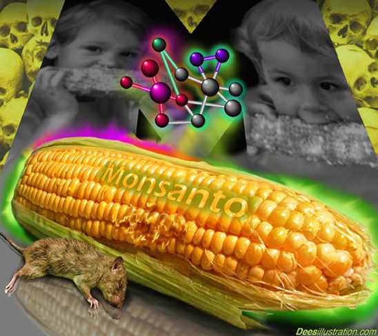 monsanto - Monsanto Sued By Organic Farmers