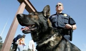 drug dog e13260673464801 300x177 - Pentagon Outsources War on Drugs to Blackwater