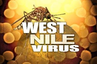 West+Nile3432 e1347555978163 - West Nile Virus