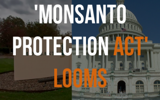 monsantoprotectionact 322x201 - What is the 'Monsanto Protection Act'?
