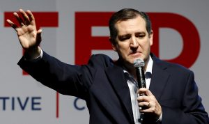 ted cruz 300x178 - Greg Abbott & Ted Cruz won't Ban Assault Rifles -- but They Engaged in a Legal Battle to Ban Sex Toys in Texas on "Moral Grounds"