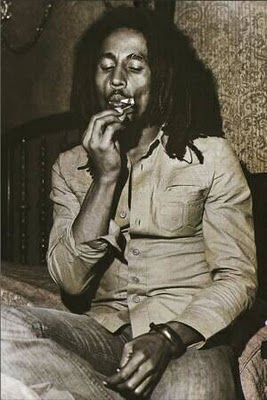 marley bob robert nesta marley - Get Up, Stand Up … for the CIA