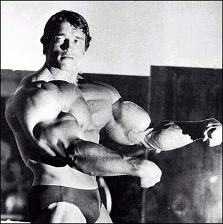arnold schwarzenegger big muscle - Arnold Schwarzenegger and ORGANIZED CRIME?