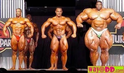 funny pictures steroids naahhh 0q5 - Chris Benoit&#039;s Florida Steroid Connection