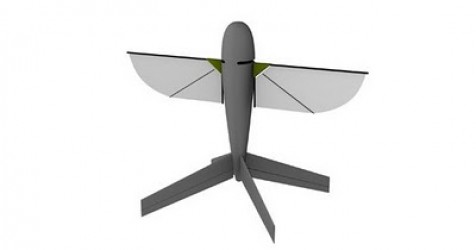 nav - DARPA hands out cash for tiny bugbot-thopter