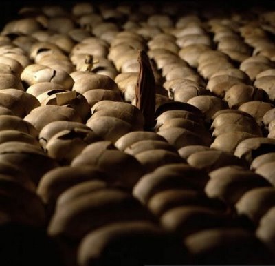 Rwanda Genocide Memorial 1 1  - How can we stand by as genocide again threatens the Congo?